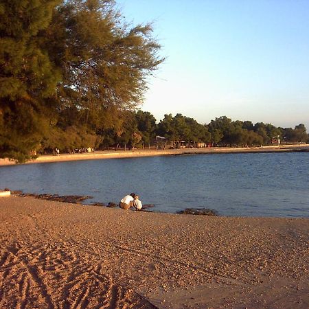 Cvita Apartment Vodice Bagian luar foto